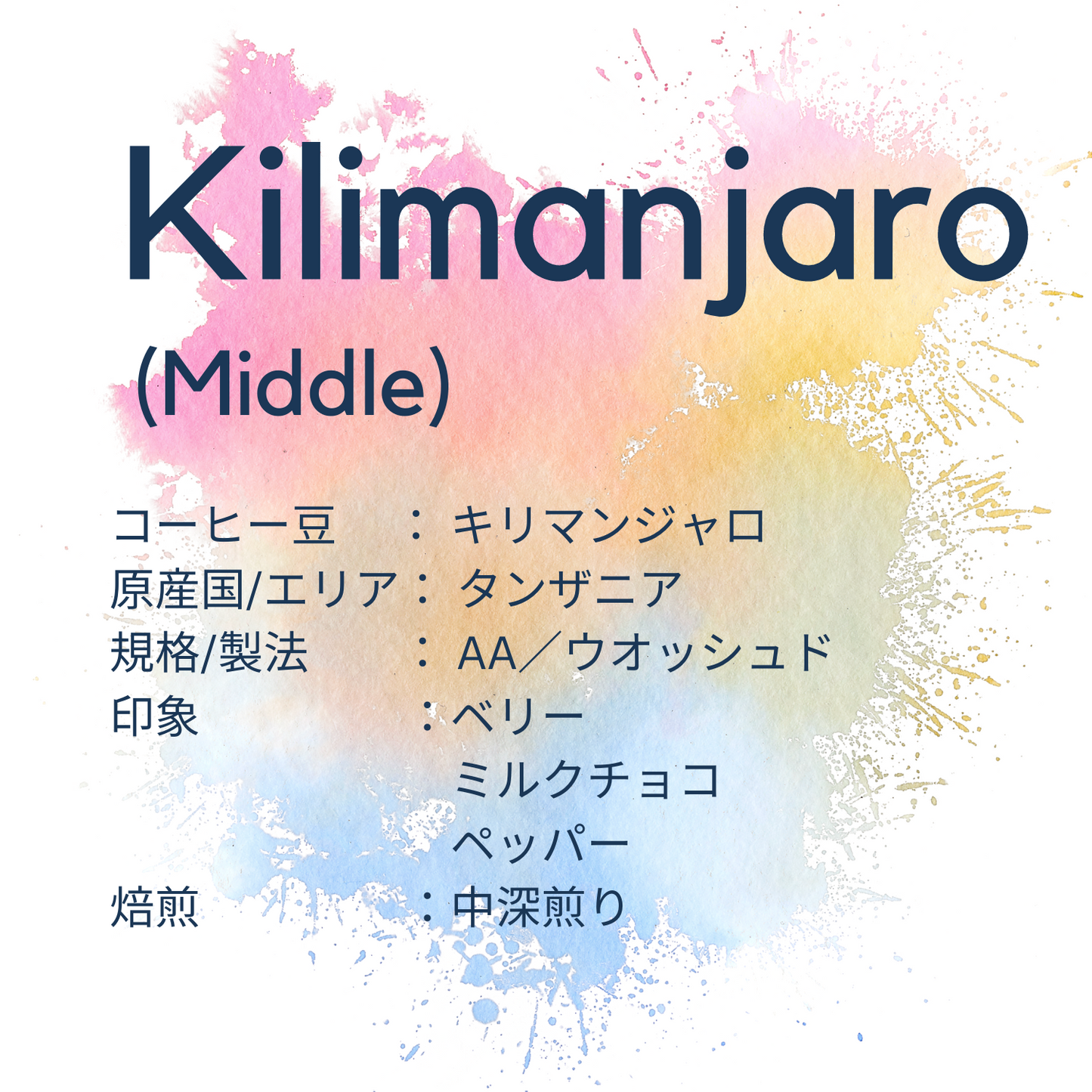 【キリマンジャロ豆】自家焙煎 あすなろコーヒー 200g